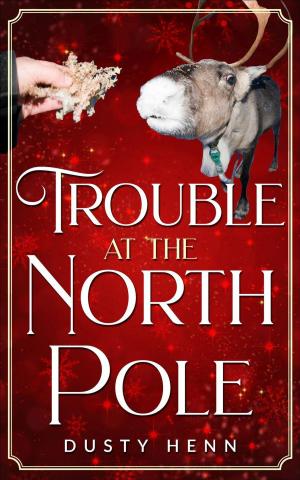 Cover of the book Trouble at the North Pole by Dusty