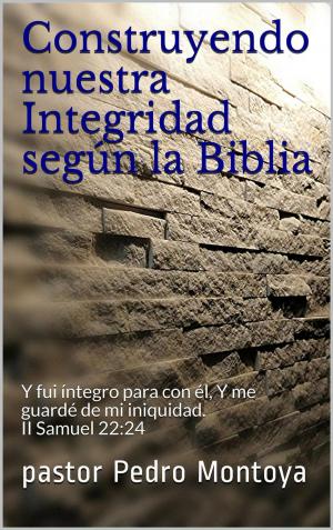 Book cover of Construyendo nuestra Integridad según la Biblia