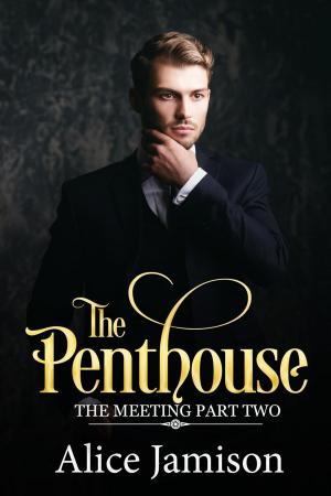 Cover of the book The Penthouse (The Meeting Part Two) by Julie Johnstone