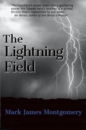 bigCover of the book The Lightning Field by 