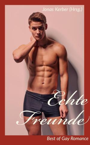 Cover of the book Echte Freunde - Best of Gay Romance by Jonas Kerber