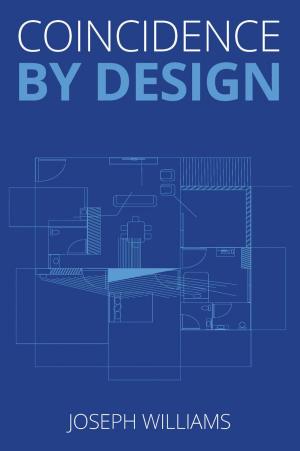 Cover of the book Coincidence by Design by Terry L. Moore