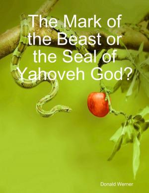 Cover of the book The Mark of the Beast or the Seal of Yahoveh God? by Julie Burns-Sweeney