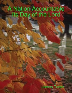 Cover of the book A Nation Accountable Its Day of the Lord by Michael Saint