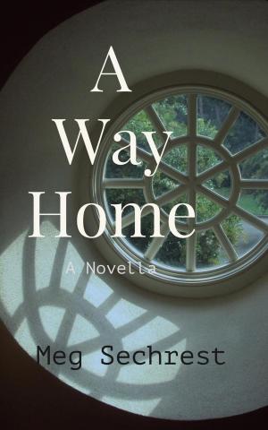 Cover of the book A Way Home by Jane Porter