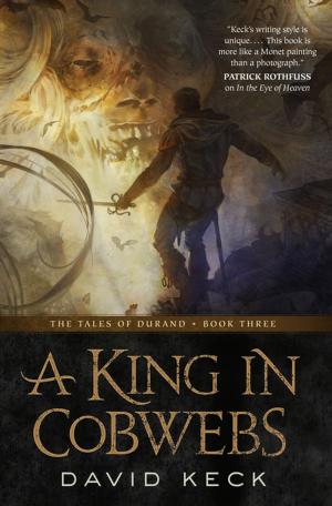 Cover of the book A King in Cobwebs by 