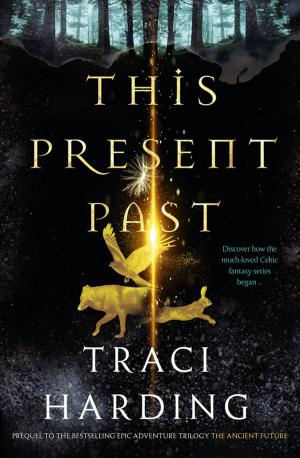 Cover of the book This Present Past by Traci Harding