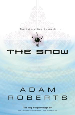 Cover of the book The Snow by D.G. Compton