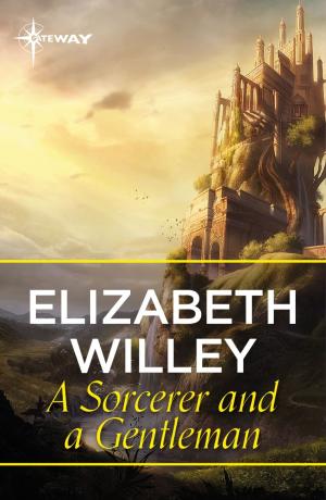 Cover of the book A Sorcerer and a Gentleman by Dell Shannon