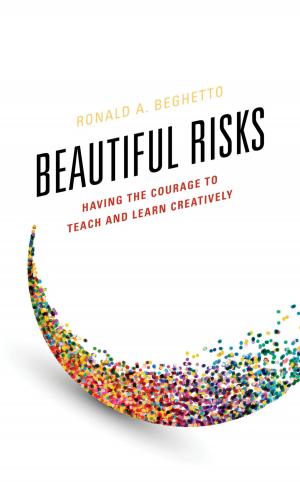 Cover of the book Beautiful Risks by Kat Sherrell