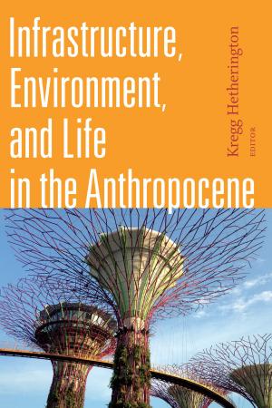 Cover of the book Infrastructure, Environment, and Life in the Anthropocene by Kathleen Woodward