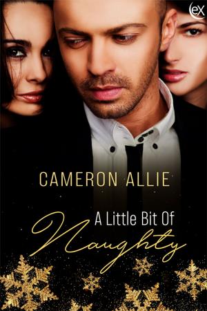 Cover of the book A Little Bit of Naughty by Ellen Parker