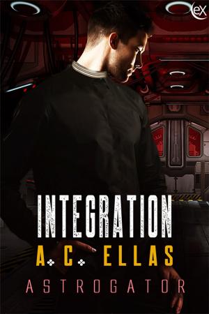 Cover of the book Integration by Tessa Brookfield