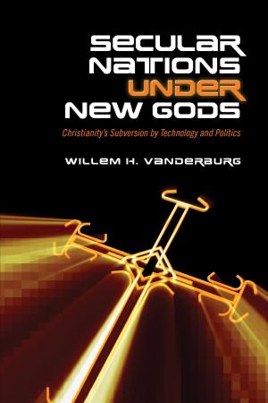 Book cover of Secular Nations under New Gods