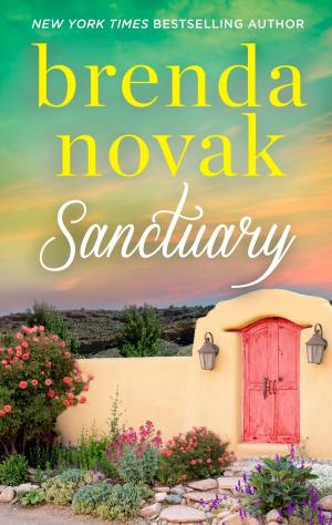 Cover of the book Sanctuary by Stevi Mittman