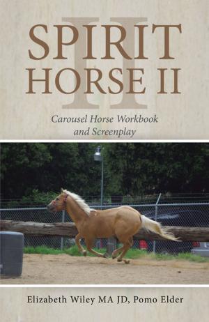 Cover of the book Spirit Horse Ii by Elizabeth Bruening Lewis