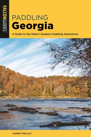 Cover of the book Paddling Georgia by Michael Ream