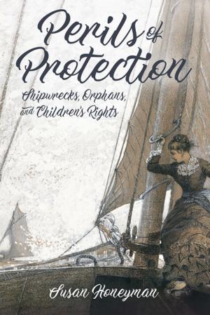 Cover of the book Perils of Protection by Judith White
