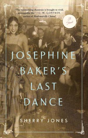 bigCover of the book Josephine Baker's Last Dance by 