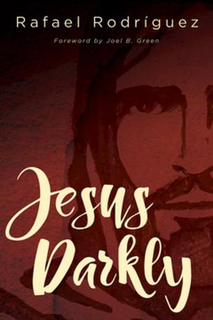 Cover of the book Jesus Darkly by Talbot Davis