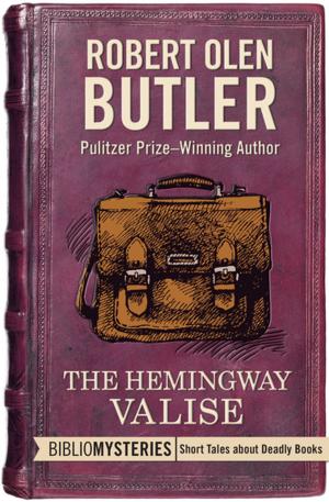 Book cover of The Hemingway Valise