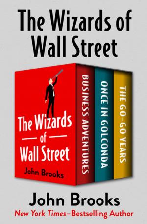 Cover of the book The Wizards of Wall Street by Brian M. Stableford