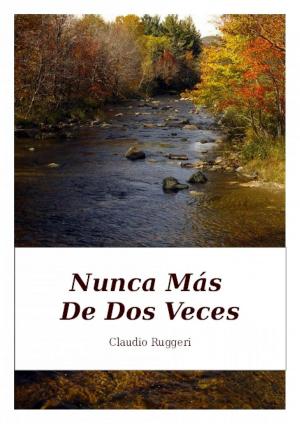 Cover of the book Nunca Más De Dos Veces by Sky Corgan