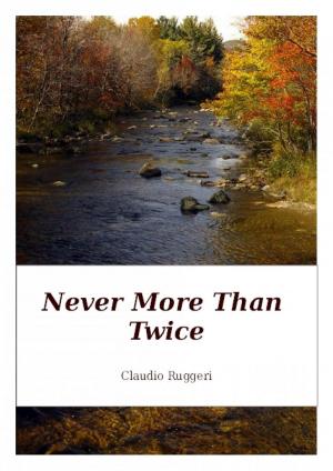 Cover of the book Never More Than Twice by Josh Lanyon