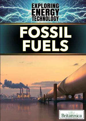 bigCover of the book Fossil Fuels by 