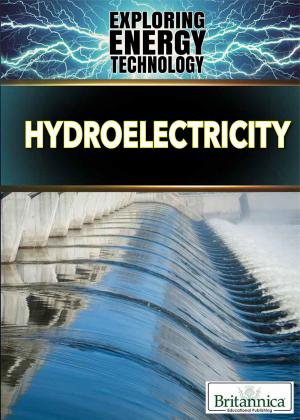 Cover of Hydroelectricity