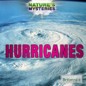 Cover of the book Hurricanes by Carolyn DeCarlo