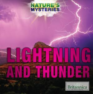 Cover of the book Lightning and Thunder by Hope Killcoyne