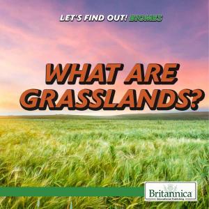 Cover of the book What Are Grasslands? by Erik Gregersen
