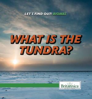 Cover of the book What Is the Tundra? by Amy Beattie