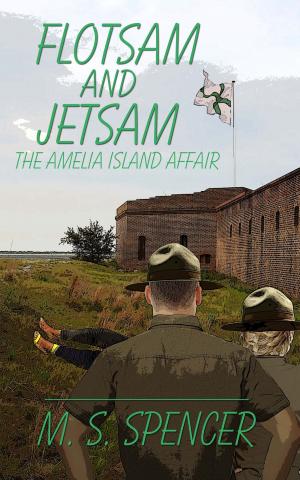 Cover of the book Flotsam and Jetsam: the Amelia Island Affair by Beth Trissel