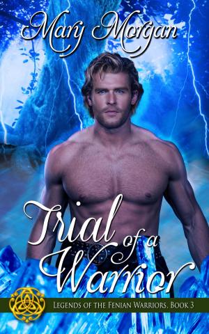 Cover of the book Trial of a Warrior by Lula  Diamond