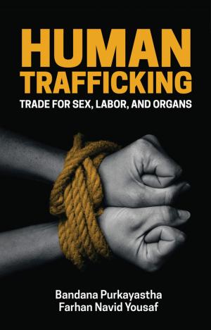 Cover of the book Human Trafficking by Fisher Investments, Andrew Teufel, Brad Pyles