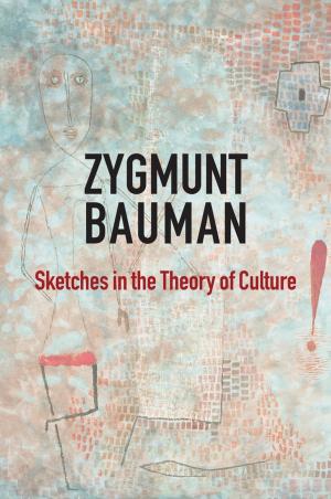 Book cover of Sketches in the Theory of Culture