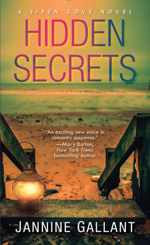 Cover of the book Hidden Secrets by J.T. Patten