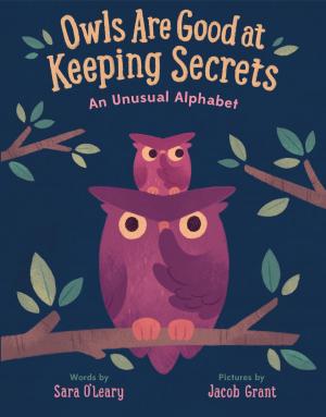 Cover of the book Owls are Good at Keeping Secrets by Lauren Kate