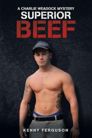 Cover of the book Superior Beef by James T. Joyce