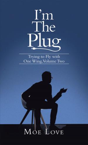 Cover of the book I’m the Plug by Bruce Ramsey