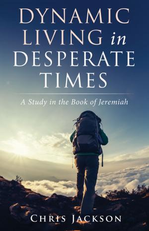 Cover of the book Dynamic Living in Desperate Times by Schubert M. Ogden