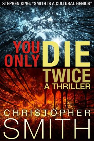 Cover of the book You Only Die Twice by Jason E. Hamilton