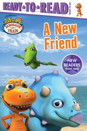 Cover of the book A New Friend by Becky Friedman