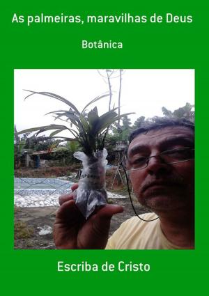 Cover of the book As Palmeiras, Maravilhas De Deus by Vilebaldo Nogueira Rocha