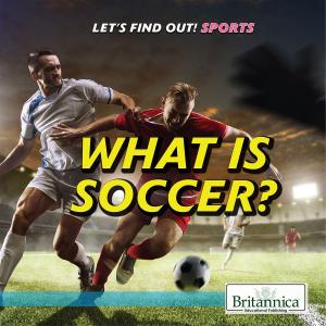bigCover of the book What Is Soccer? by 