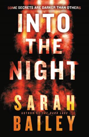 Cover of the book Into the Night by M. Shayne Bell