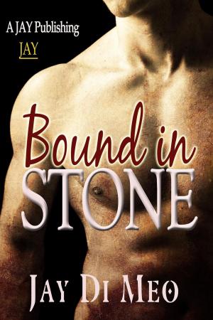 Cover of the book Bound in stone by Adrean Messmer, Jack Burgos