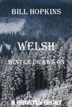Book cover of Welsh Winter Draws On